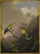 Martin Johnson Heade Two Humming Birds oil painting artist